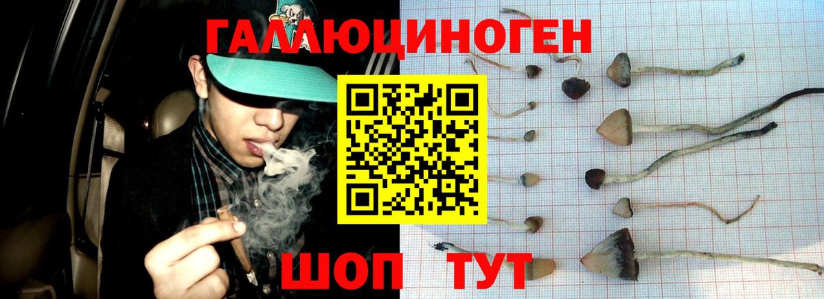 Галлюциногенные грибы GOLDEN TEACHER  Вход с VPN  Псилоцибиновые грибы мицелий  Зима 